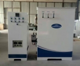 100g次氯酸鈉發生器